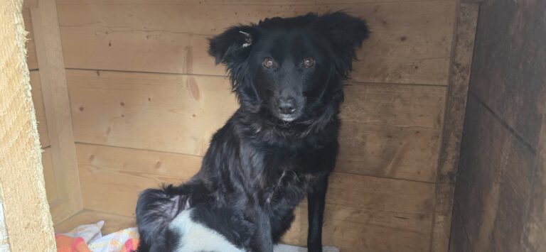 558055899_3271251129703840_3577504139614888301_n