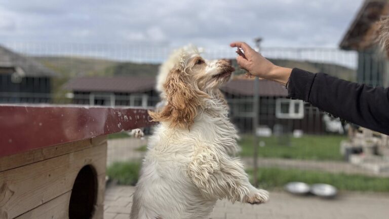 558186934_122215877630122691_4588760044016152748_n