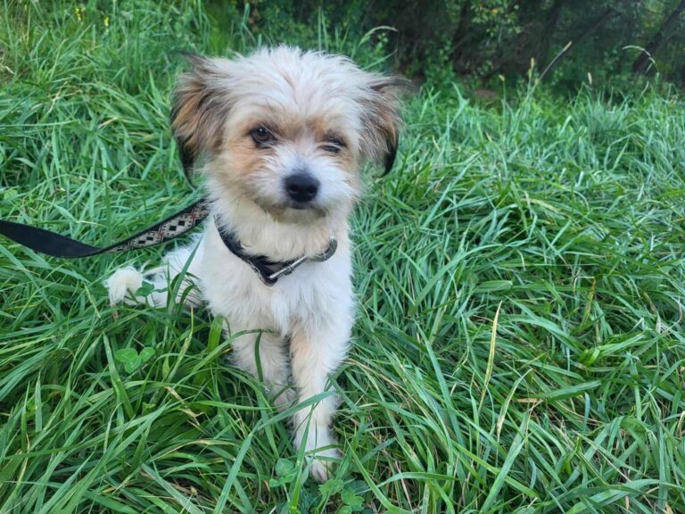 558316676_23935728992769157_5145739386686481657_n