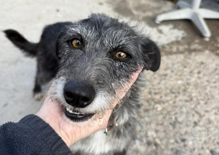 558432639_25588152907438364_7895376917815555570_n