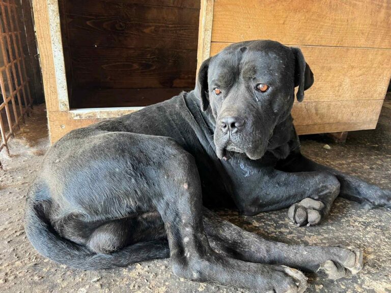 558491162_4082803911969413_3154014514683422157_n