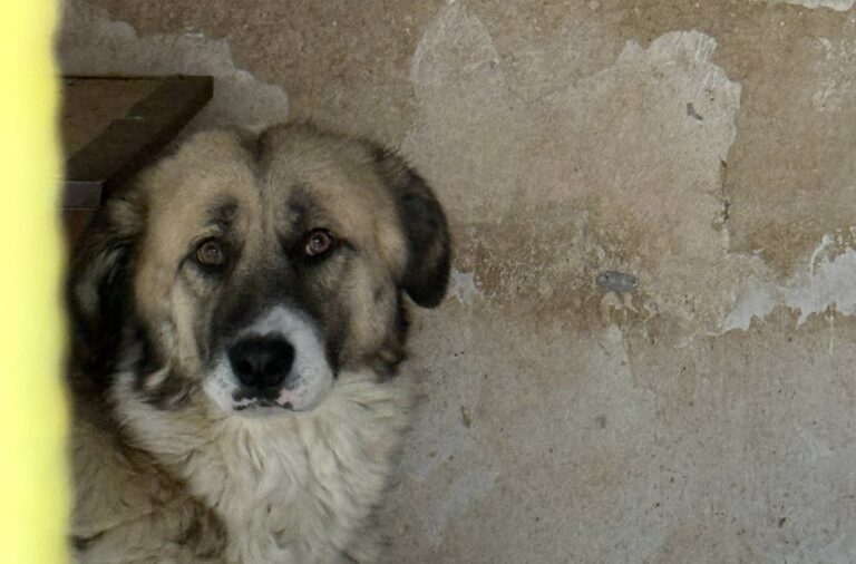 558548075_25611298375123817_4261810986795040224_n