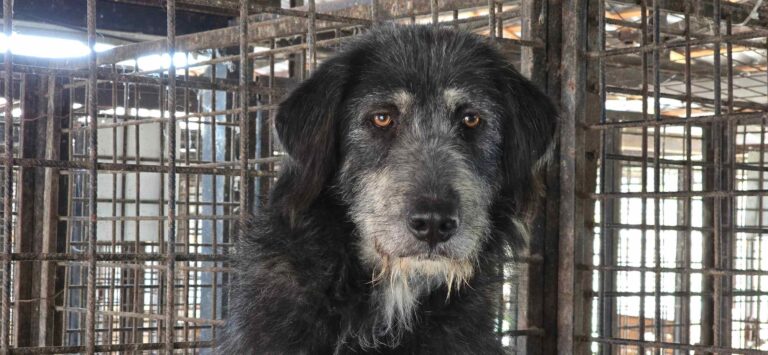 558678474_3271247263037560_5305090755983308653_n_6_11zon