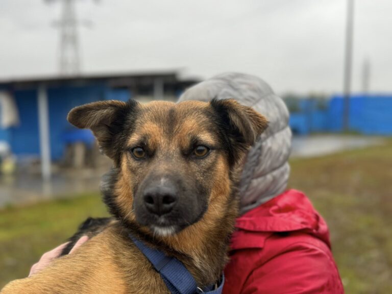 558688335_25602652812655040_4376587701557674320_n