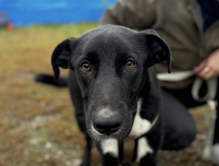 558869331_25602694615984193_2382713412154364657_n