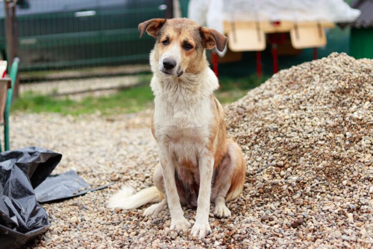 558887052_3129166573928124_1448362055284457428_n