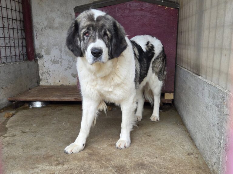 558912246_3386732404800977_4416366626473543431_n