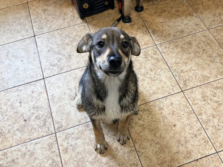 558939486_3234610320037472_7000647229350949510_n