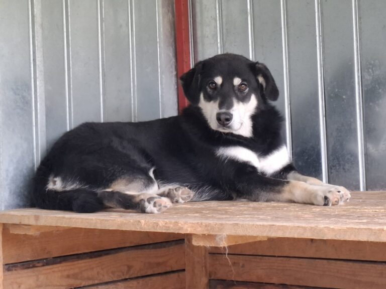 558947898_122197652858287866_8655516349493560991_n