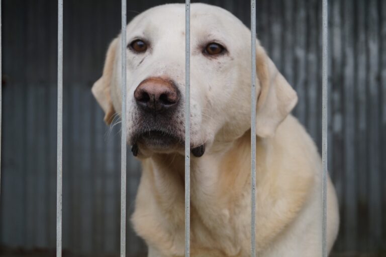 558972260_122197648982287866_5250739781558424202_n