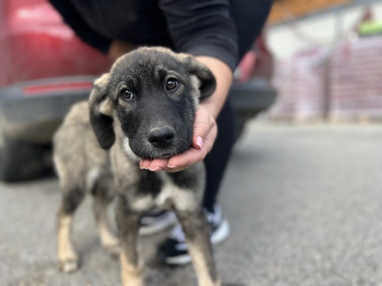 559013748_24696182396698321_7826939818557948927_n