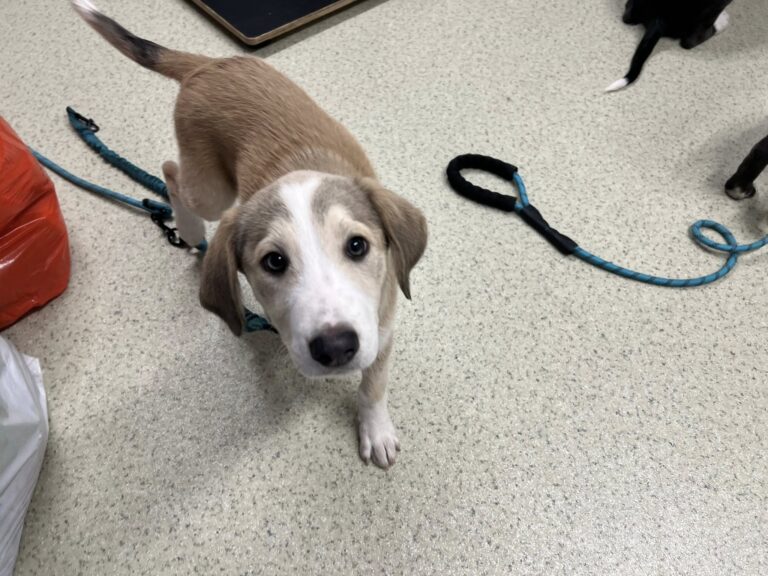 559148273_3233594853472352_6515231361824263259_n