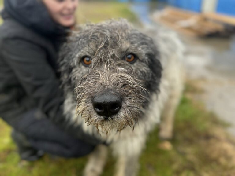 559254547_25602534999333488_4203613780368166987_n