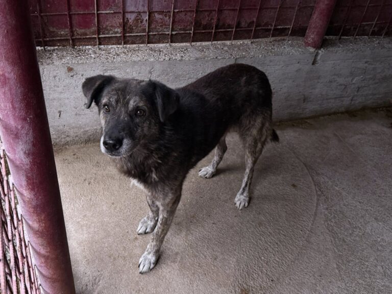 559309380_25629722259948095_2661135363662028344_n