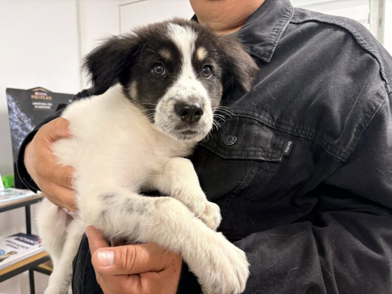 559360893_3231262727038898_1333404008025364036_n