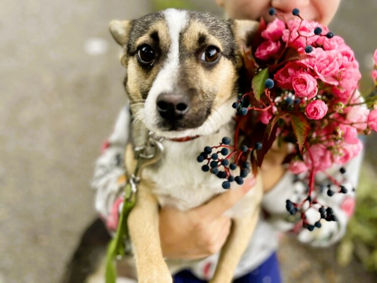 559361366_10163386366446462_4709285839223972191_n