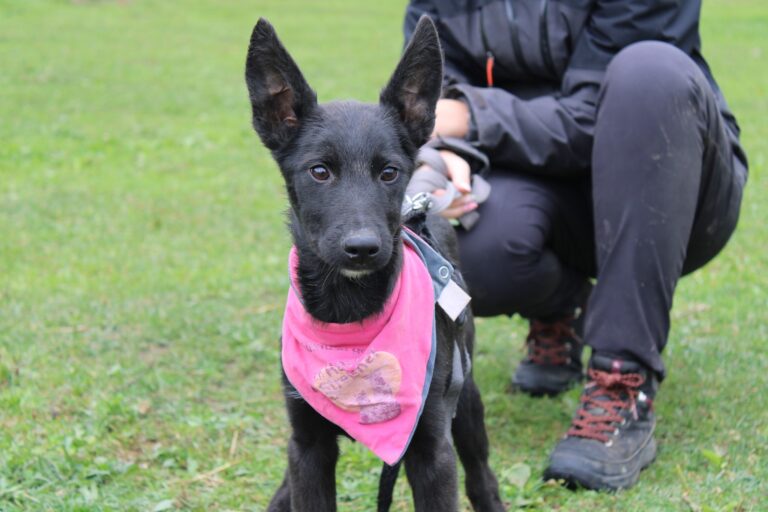 559876363_24719827501043005_5653552147447111638_n