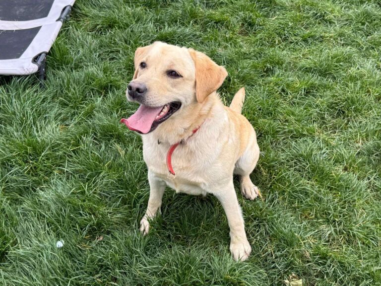 559983428_31889720727341371_1050712176726496297_n