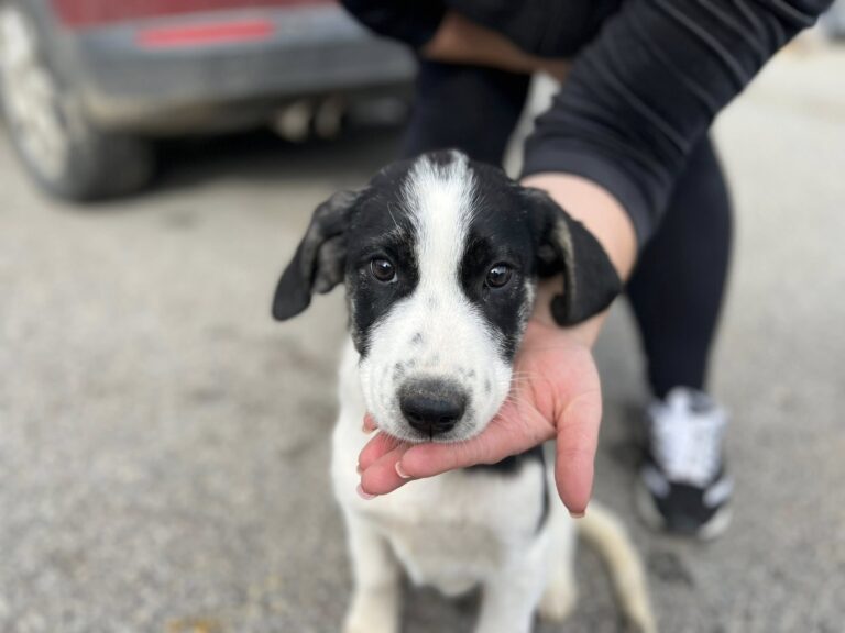 560051082_24696164393366788_4772624645627017440_n