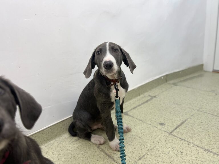 560058934_3233593683472469_4470005302050198563_n