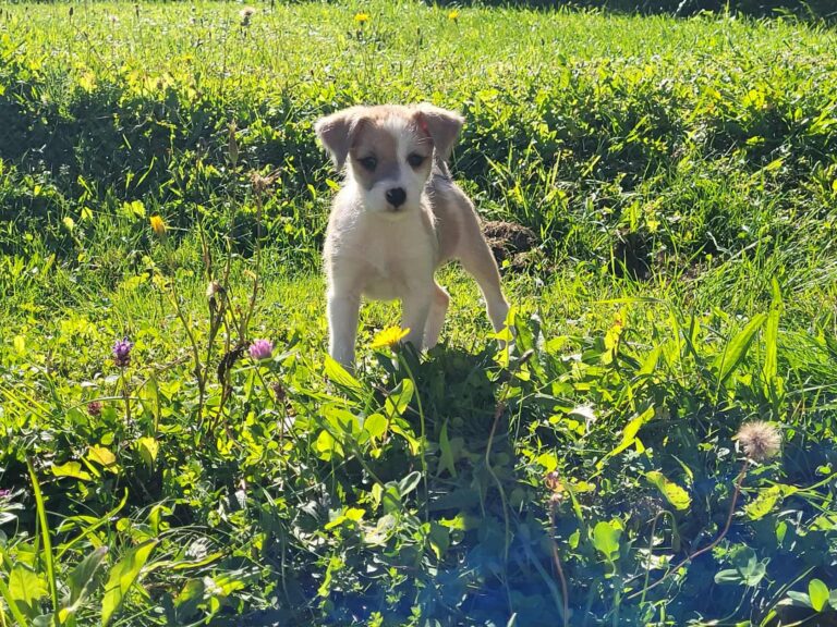 560312495_24004133035928752_3923540974095977781_n