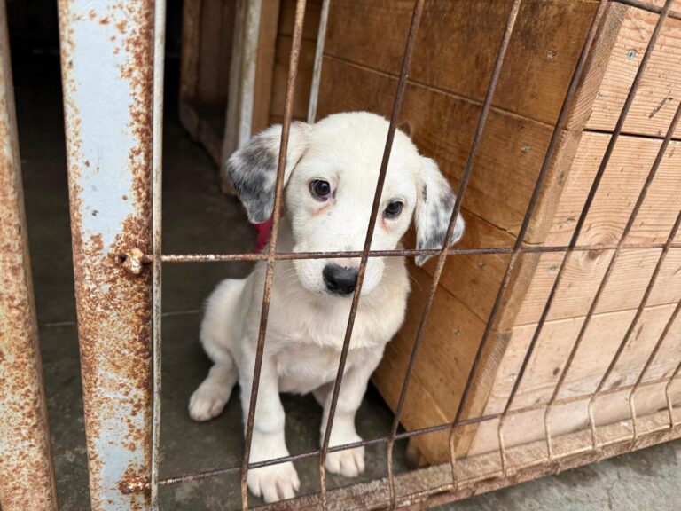 561082098_31871637879149656_8329100397978774758_n