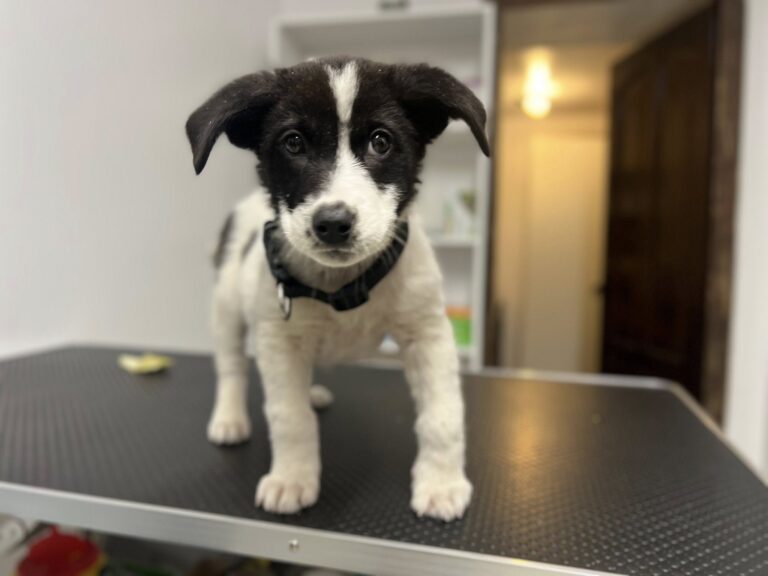 561371301_10161172926992581_12723071689846473_n