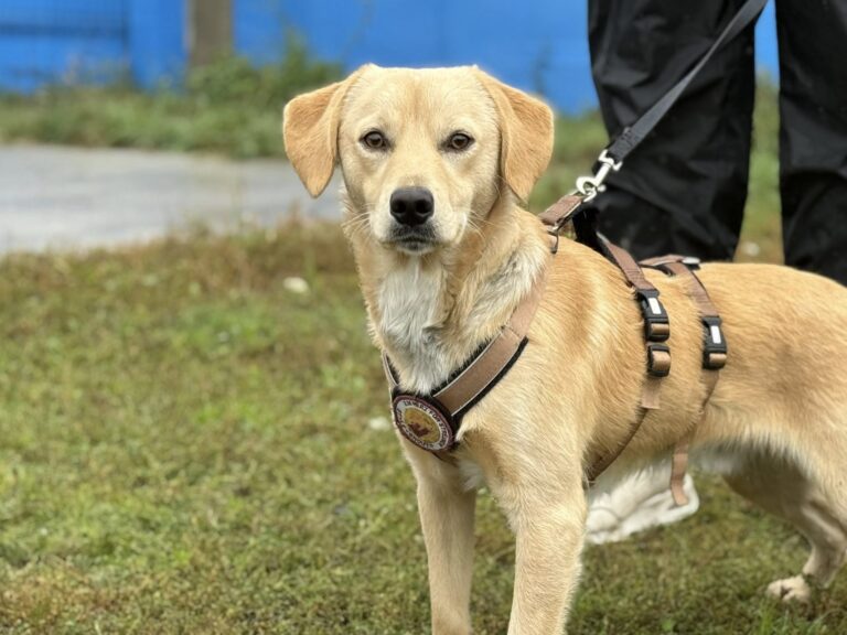 561372142_25612661834987471_3507815652872730319_n