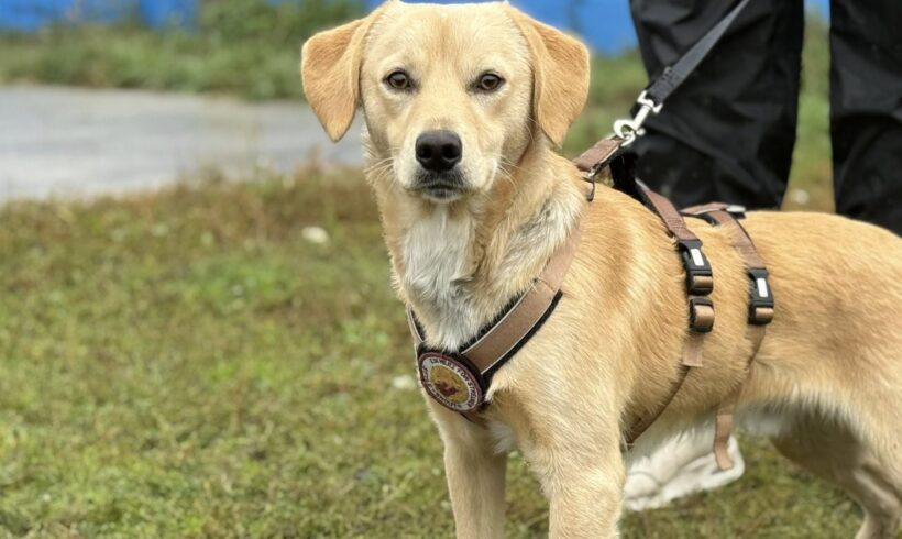 MARLO – reserviert