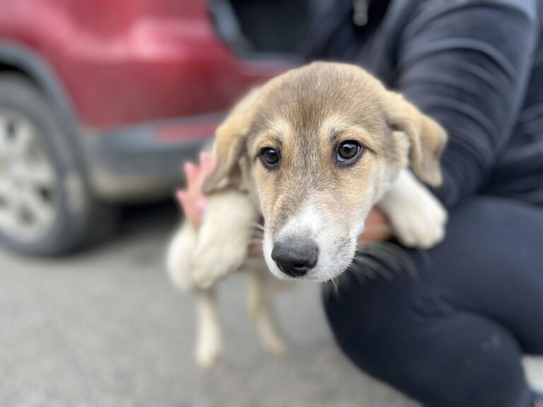 561465627_24696174290032465_5352670350132821804_n