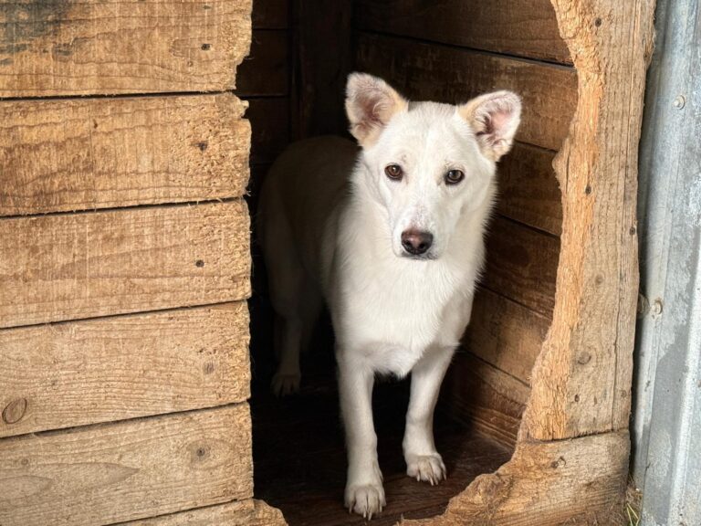 561593691_122198074184287866_7015447897127888290_n