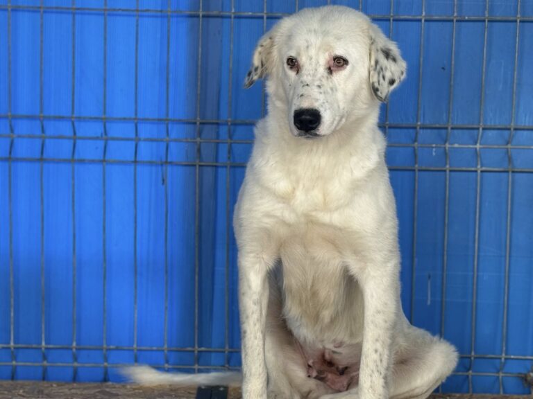 561609803_25642026232051031_4884585945580420061_n