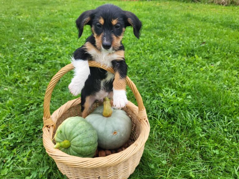 561819018_24004112775930778_7113663344320219629_n