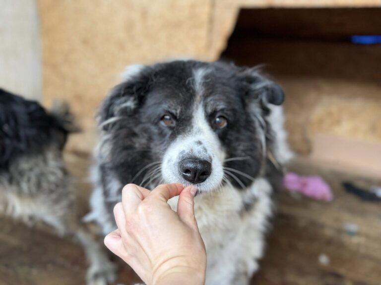 562376733_1158097106279771_3479911879776113317_n