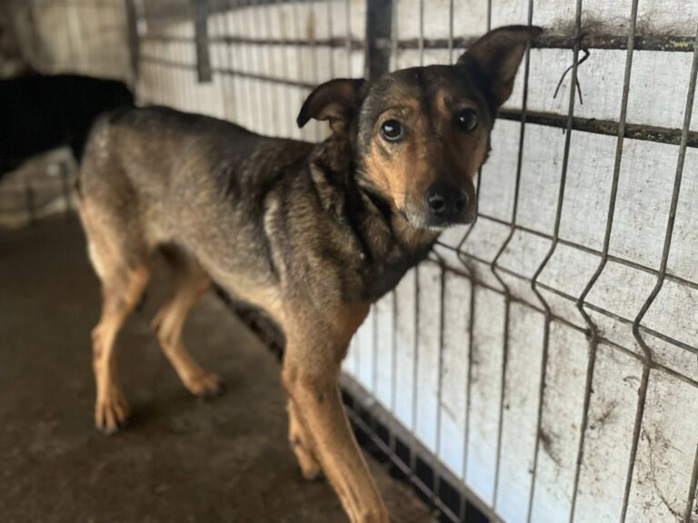 563444906_25642818161971838_2712477551334227956_n