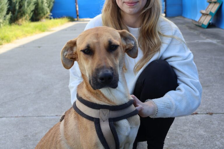 564528193_1155387253217423_2766627609765150033_n