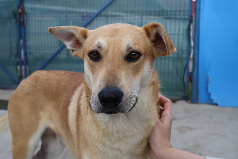 565109931_1155383276551154_3878587581214677131_n