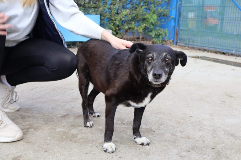 565111747_1155227536566728_1375555474032817016_n