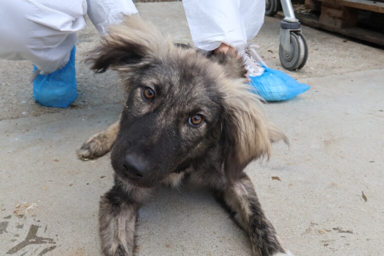 565125858_1155211153235033_5209960235378486181_n