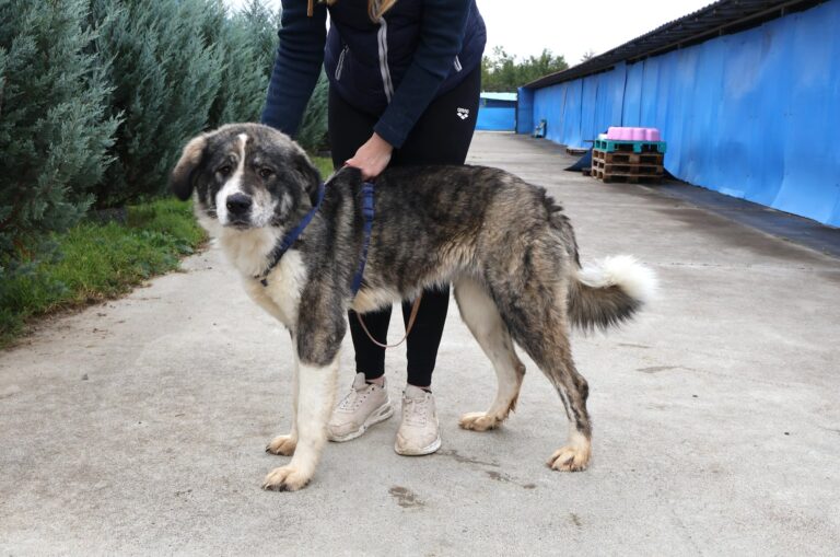 565241086_1156317659791049_938423883760753806_n