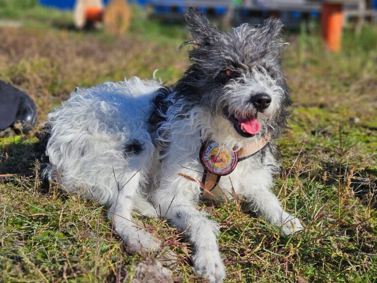 565310127_25145544705063122_7070904350986604126_n