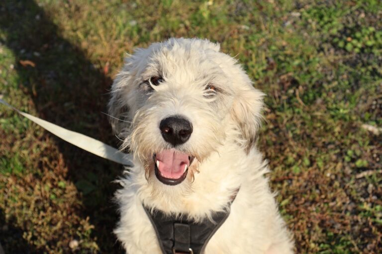 565657100_1156304759792339_4988979624815273574_n