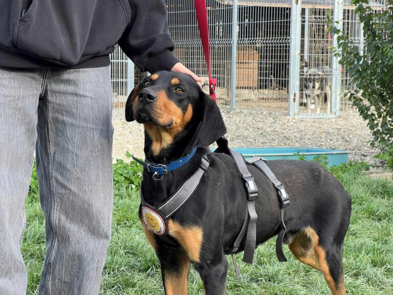 565664197_4088128458103625_2610577156168807295_n