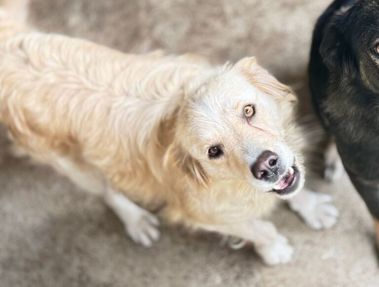 565669640_25701372446116409_9188343558435737812_n