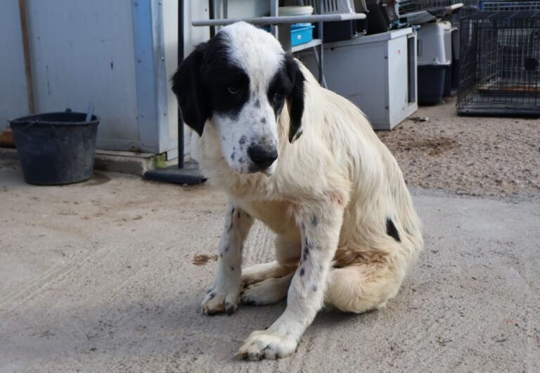 565809953_1155384819884333_8344959120358476218_n