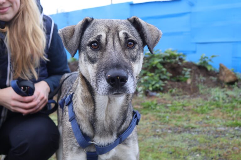 566218128_1156327983123350_8218887892280658156_n