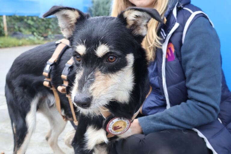 567051029_1156326533123495_7716758546378172871_n