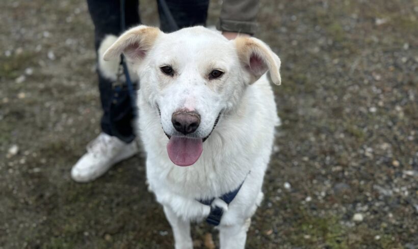 ANWEN – reserviert