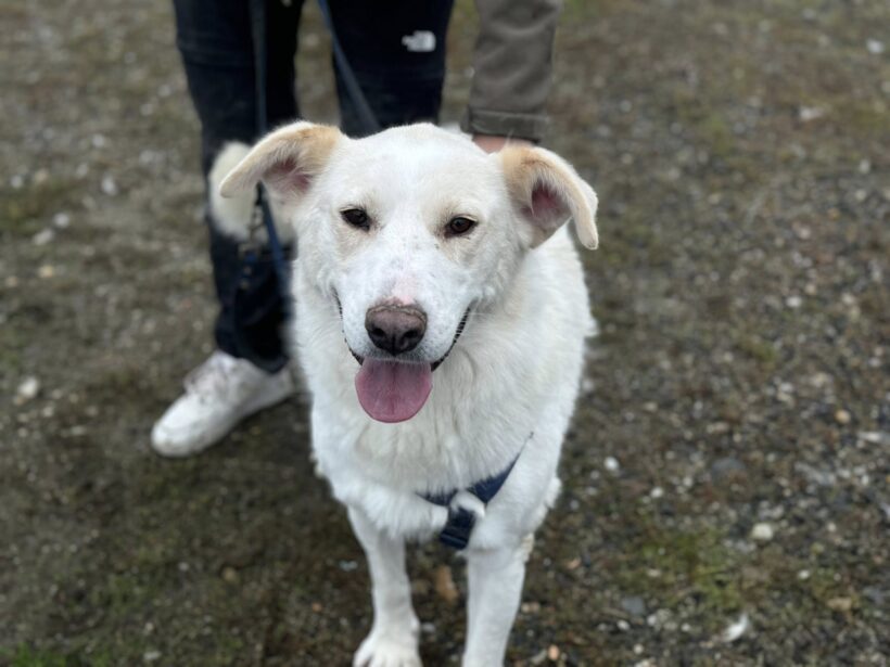 ANWEN – reserviert