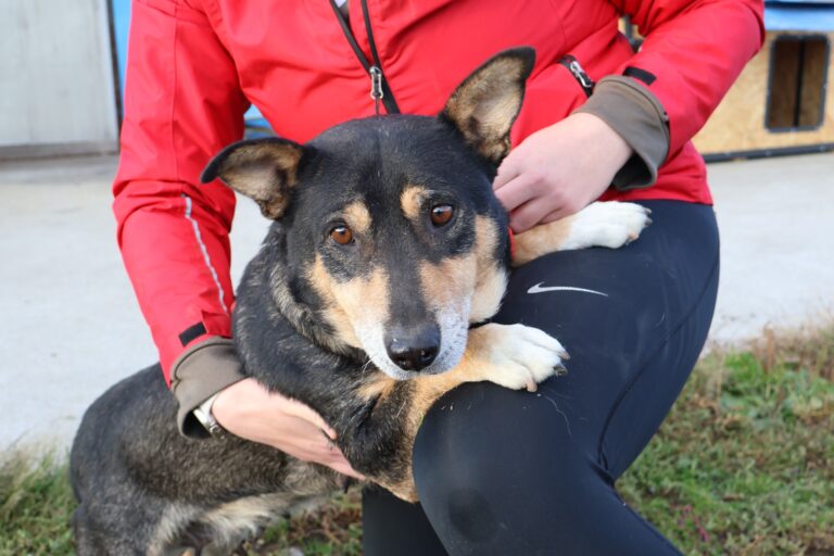 568191304_1156308999791915_3111853519757708755_n